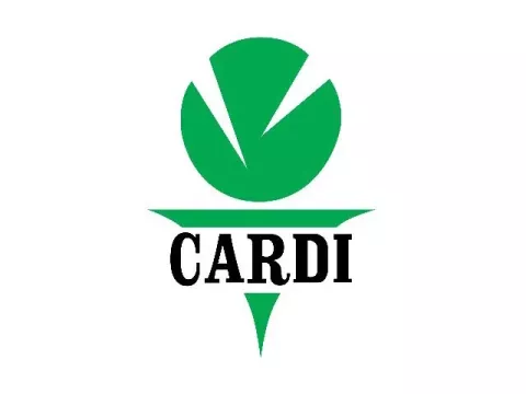 cardi