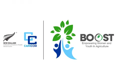 CARICOM Boost