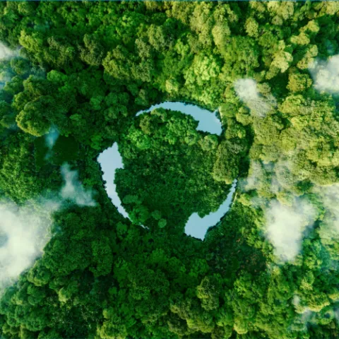 Environemnt and Sustainable Development