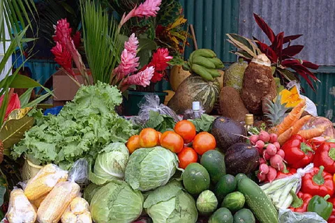 Agriculture