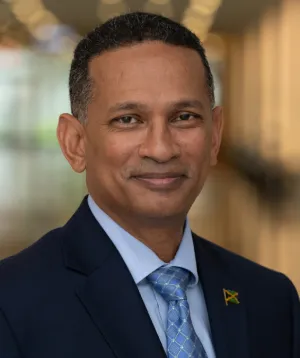 H.E. Brian Wallace
