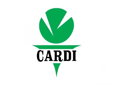 cardi