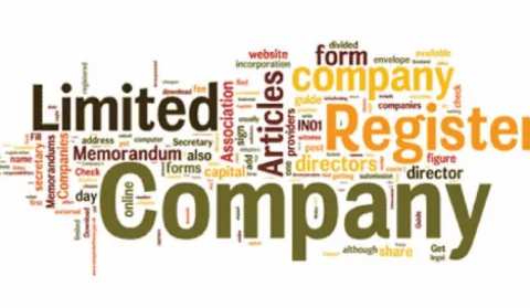 comapny registry