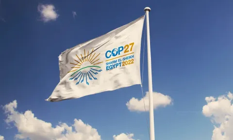 cop-27