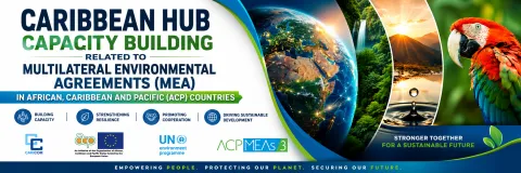 ACP MEA