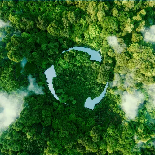 Environemnt and Sustainable Development