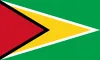 Cooperative Republic of Guyana flag